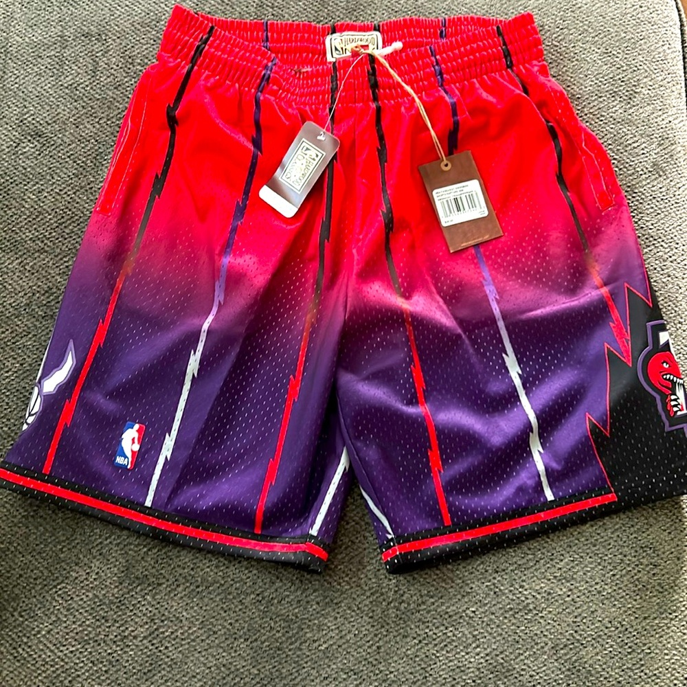 Mitchell & Ness Toronto Raptors Swingman shorts